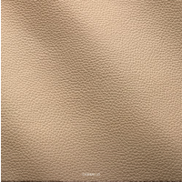 Okazi Freischwinger Mannheim Ambiente mit Armlehne beige